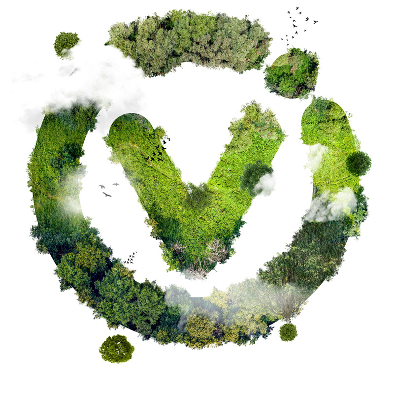 Vizion Green Earth